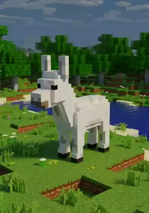 Minecraft Community